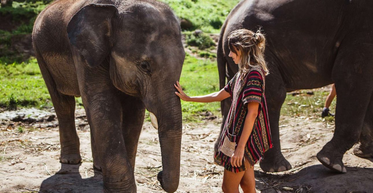 I Santuari Etici per Elefanti in Thailandia