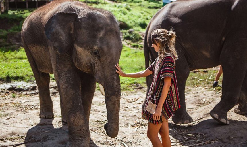 I Santuari Etici per Elefanti in Thailandia