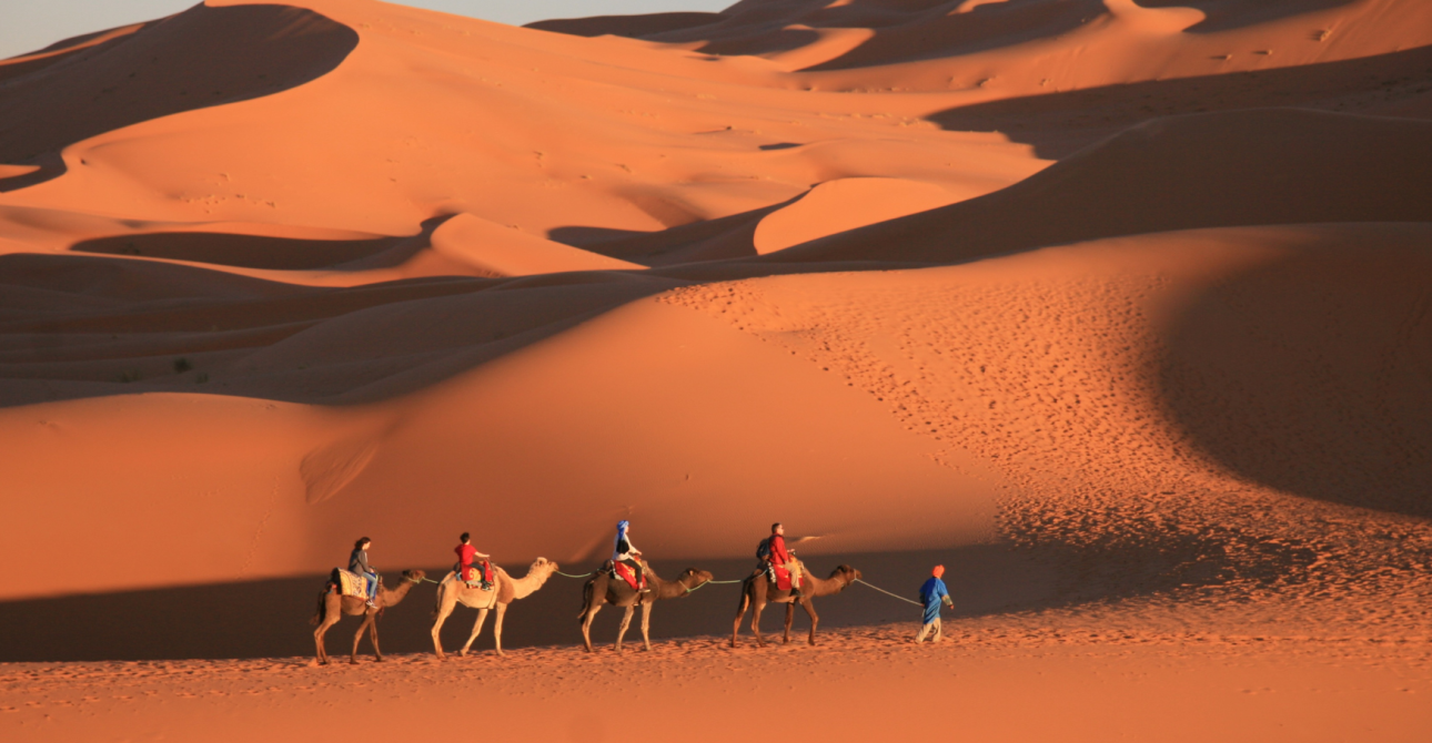 Viaggi di gruppo Trippo: caratteristiche e una valida alternativa con Moondoo