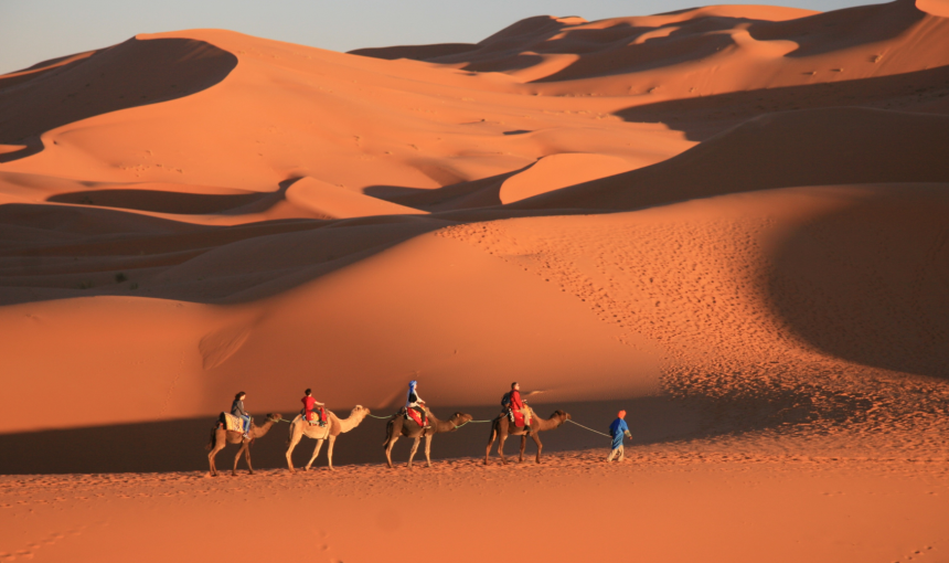 Viaggi di gruppo Trippo: caratteristiche e una valida alternativa con Moondoo