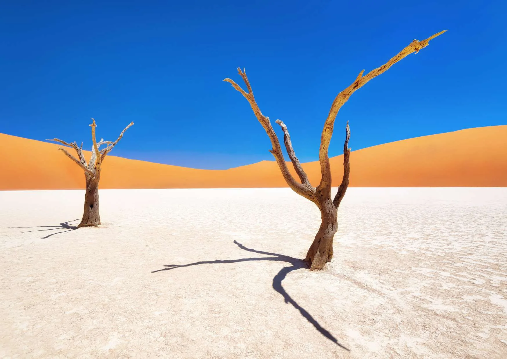 deserto namib