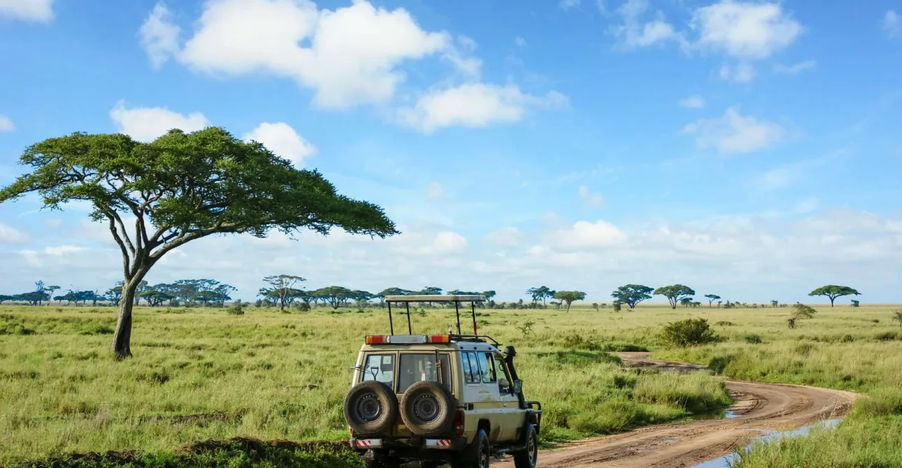 Safari in Tanzania: quando andare e quanto costa