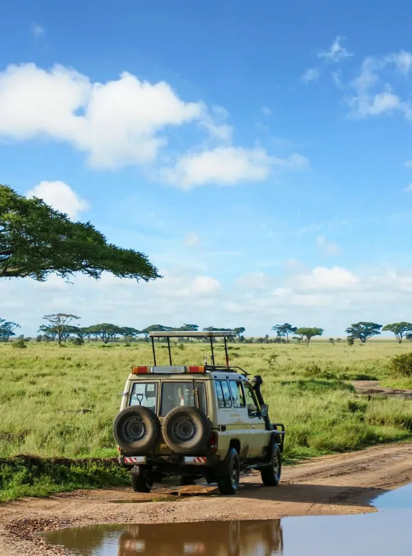 panorama di un safari in tanzania