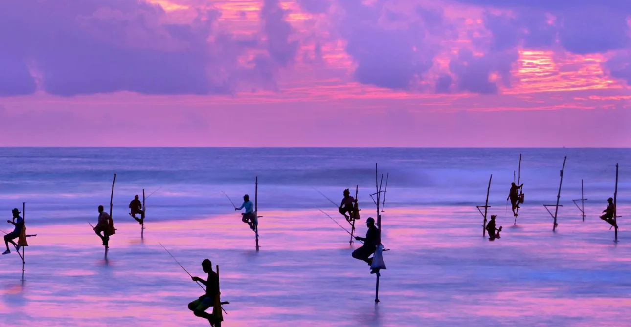 Quando andare in Sri Lanka: miglior periodo e clima per partire