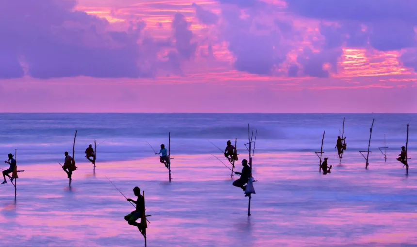 Quando andare in Sri Lanka: miglior periodo e clima per partire