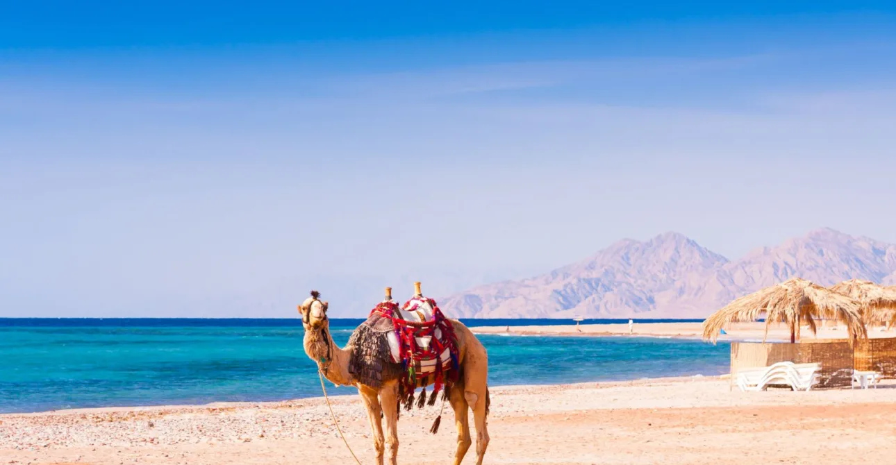 Cosa vedere a Hurghada: Scopri le Meraviglie e le Escursioni Imperdibili