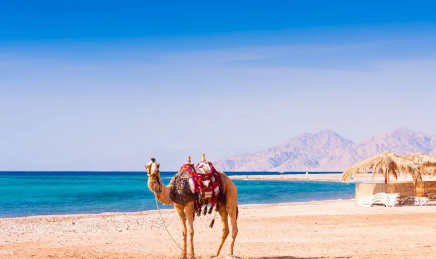 Cosa vedere a Hurghada: Scopri le Meraviglie e le Escursioni Imperdibili