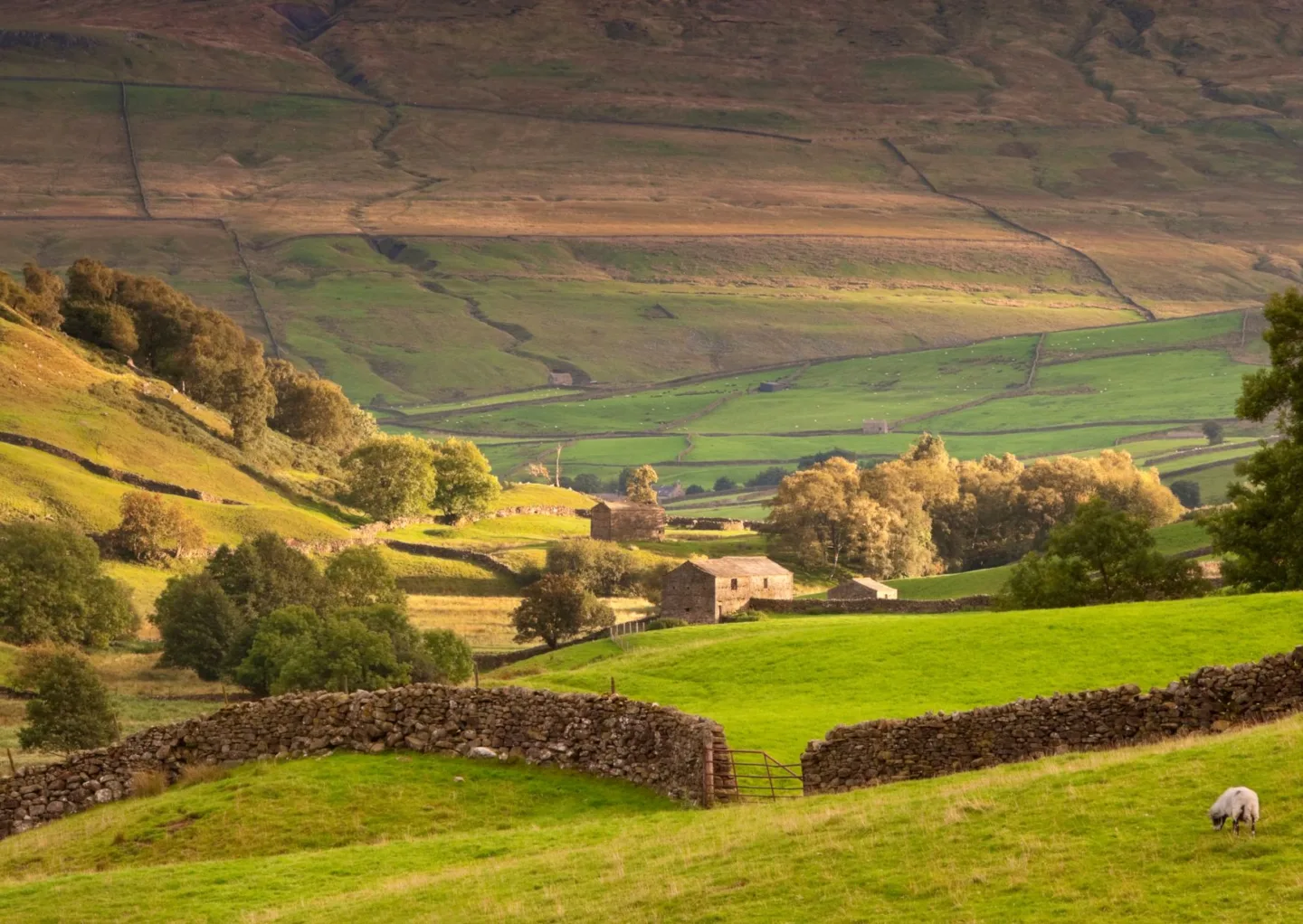 paesaggio dello yorkshire che ispirò le sorelle Bronte