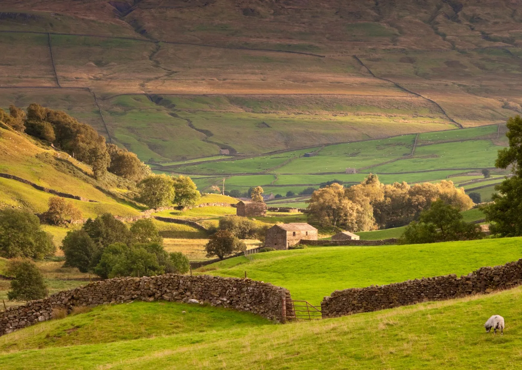 paesaggio dello yorkshire che ispirò le sorelle Bronte