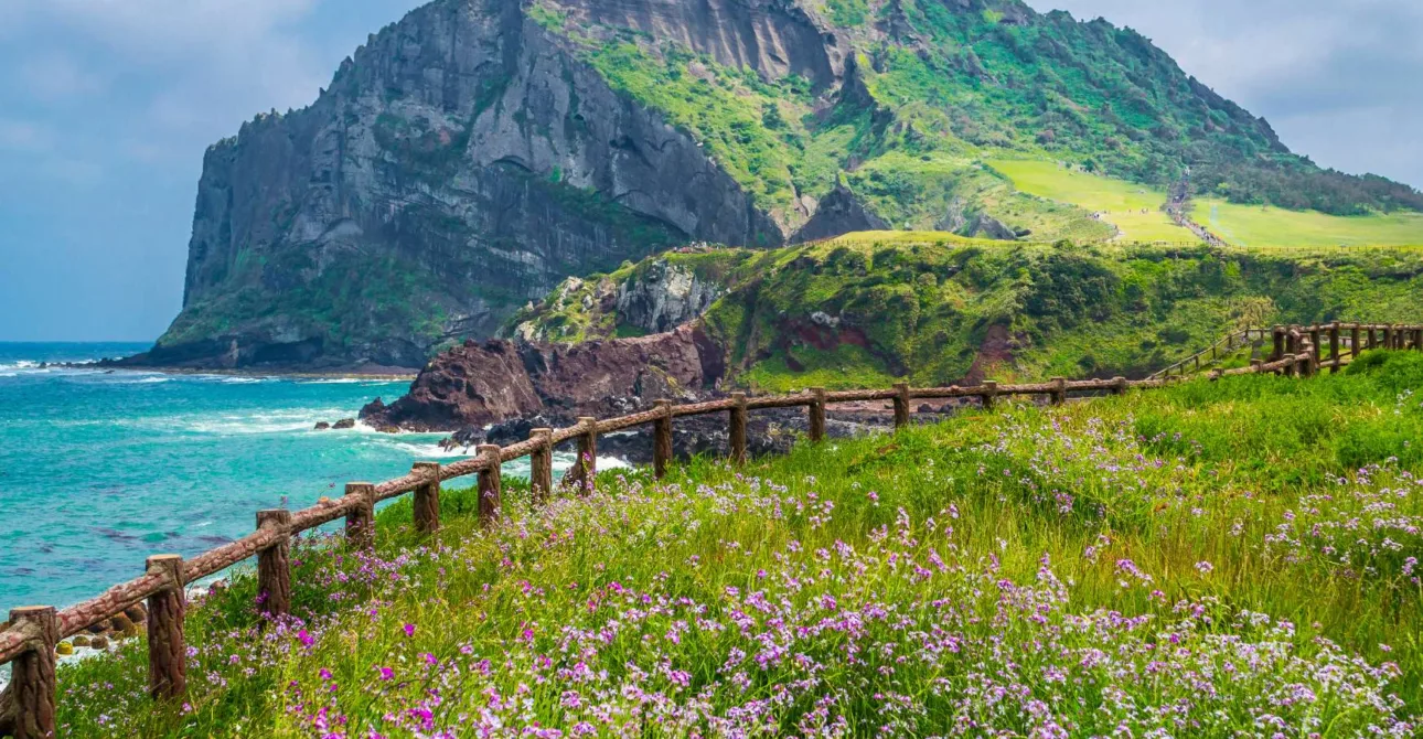 Quando andare in Corea del Sud: il periodo ideale